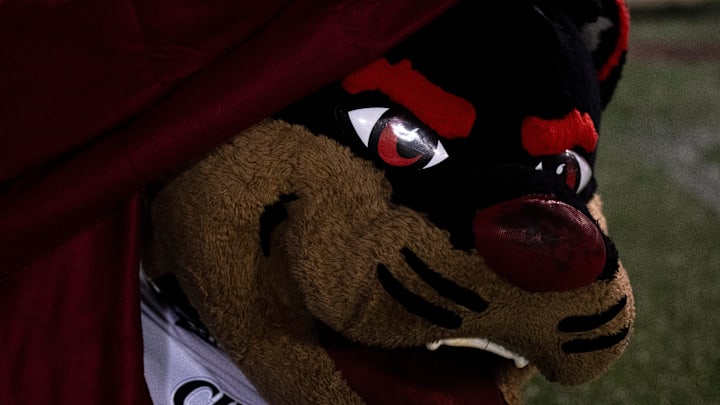 Cincinnati Bearcats mascot hangs out on the field in the fourth quarter of the NCAA football game between the Cincinnati Bearcats and the Houston Cougars TDECU Stadium in Houston, Texas, on Saturday, Nov. 11, 2023. Cincinnati Bearcats mascot hangs out on the field in the fourth quarter of the NCAA football game between the Cincinnati Bearcats and the Houston Cougars TDECU Stadium in Houston, Texas, on Saturday, Nov. 11, 2023.