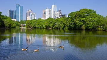 The Midtown Atlanta skyline reflected in the lake at Piedmont Park on a sunny summer day, with geese swimming in the foreground.