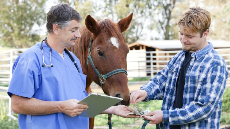 Have a pet? Prepare to pony up some serious cash.