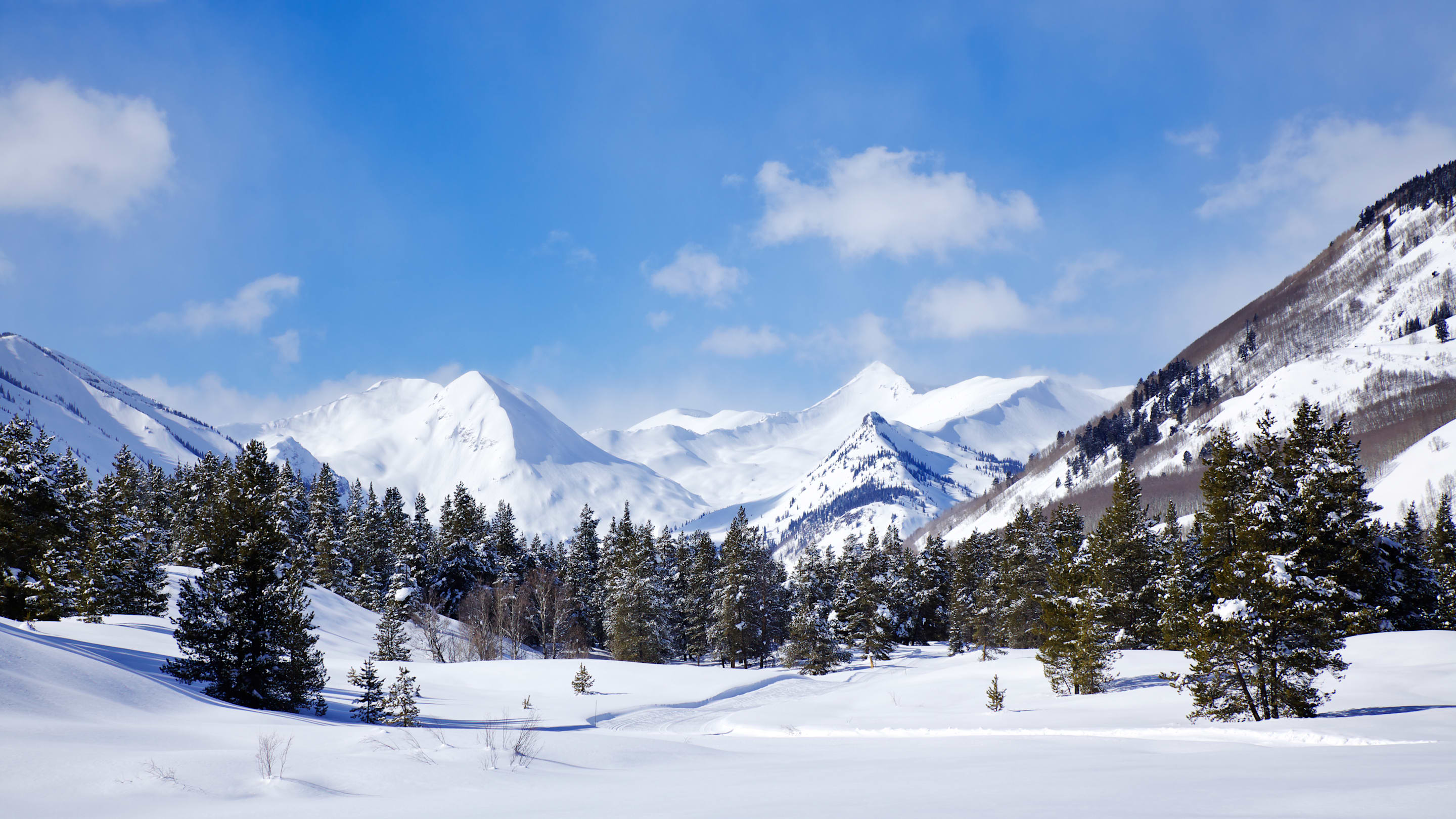 5 Chilling Discoveries Found in the Snow From Around the World