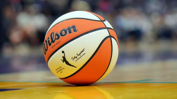 Detailed view of Wilson official WNBA Evo NXT basketball