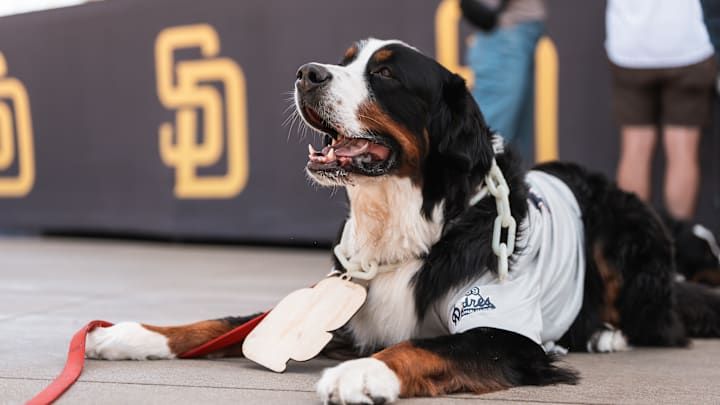 San Francisco Giants v San Diego Padres