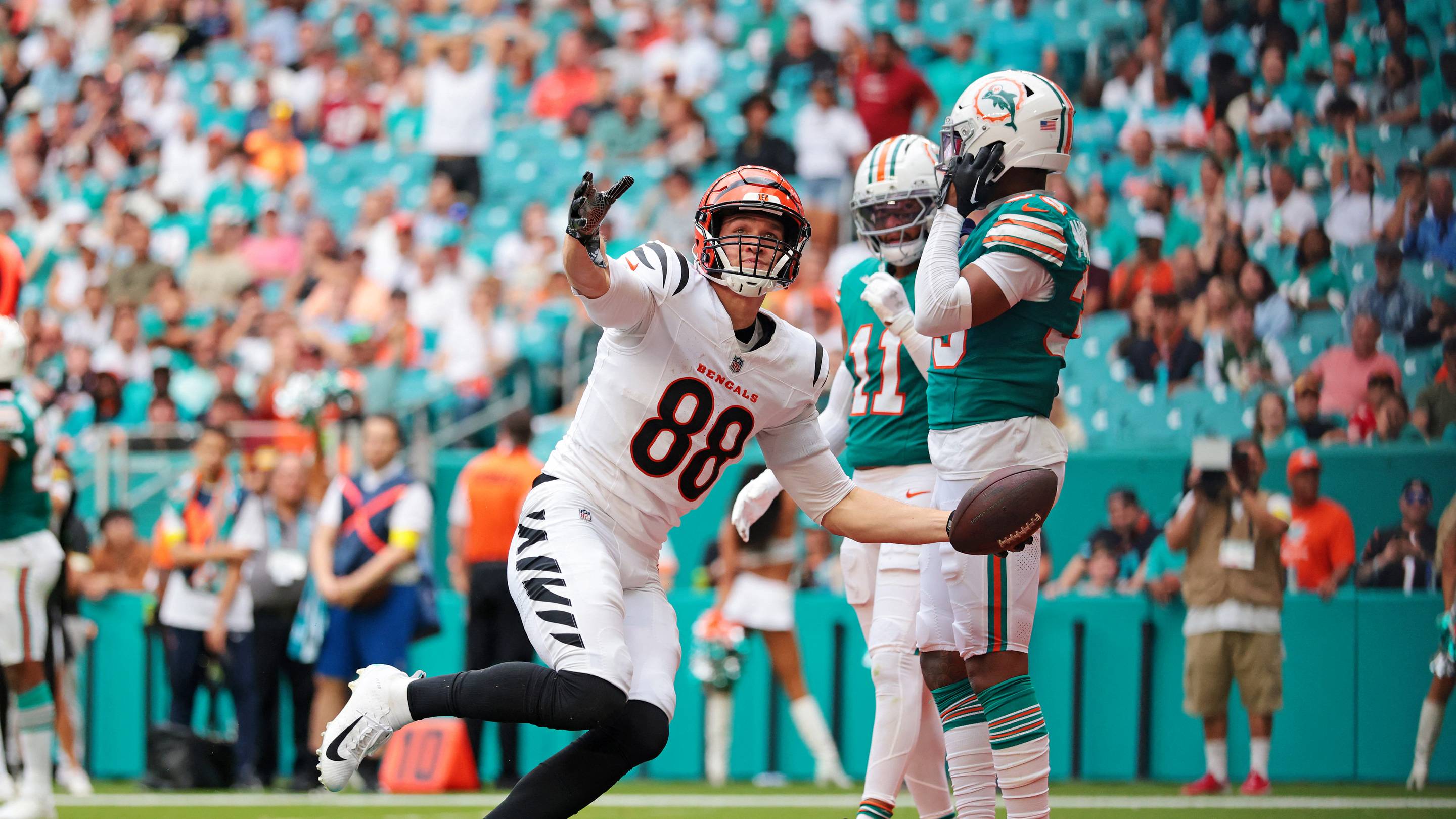 Bengals Big Betting Favorites Against Dolphins in Latest AFC Battle During 2026 Season