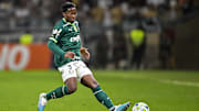 Endrick é uma das principais armas do time do Palmeiras na atualidade. 