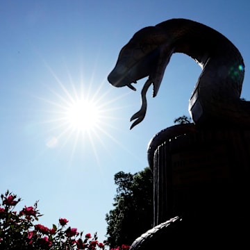 The PGA Tour will take on one of the toughest courses on the schedule this week at Innisbrook. 