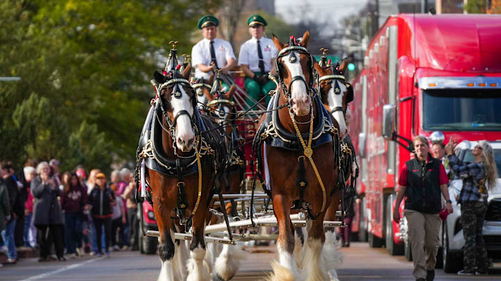 The Budweiser Clydesdales are one of the brand's most recognizable symbols. The Budweiser Clydesdales are one of the brand's most recognizable symbols.