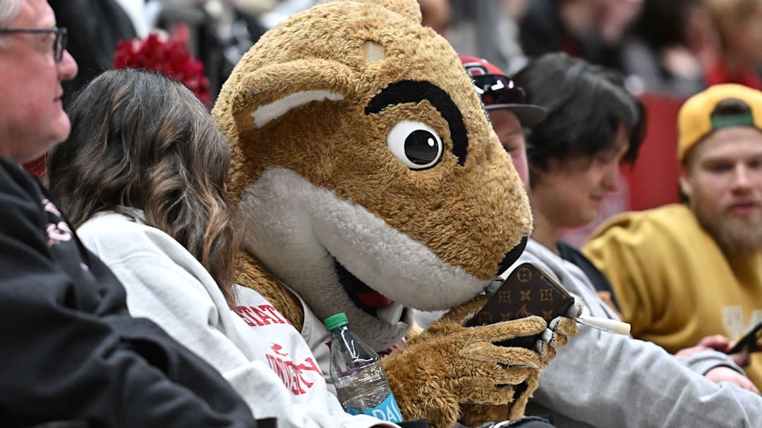 Jan 25, 2025; Pullman, Washington, USA; Washington State Cougars mascot Butch plays with a cell phone during a game against the St. Mary's Gaels in the second half at Friel Court at Beasley Coliseum. St. Mary's Gaels won 80-75. Mandatory Credit: James Snook-Imagn Images