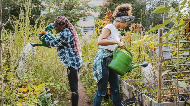 Your plants will thank you.