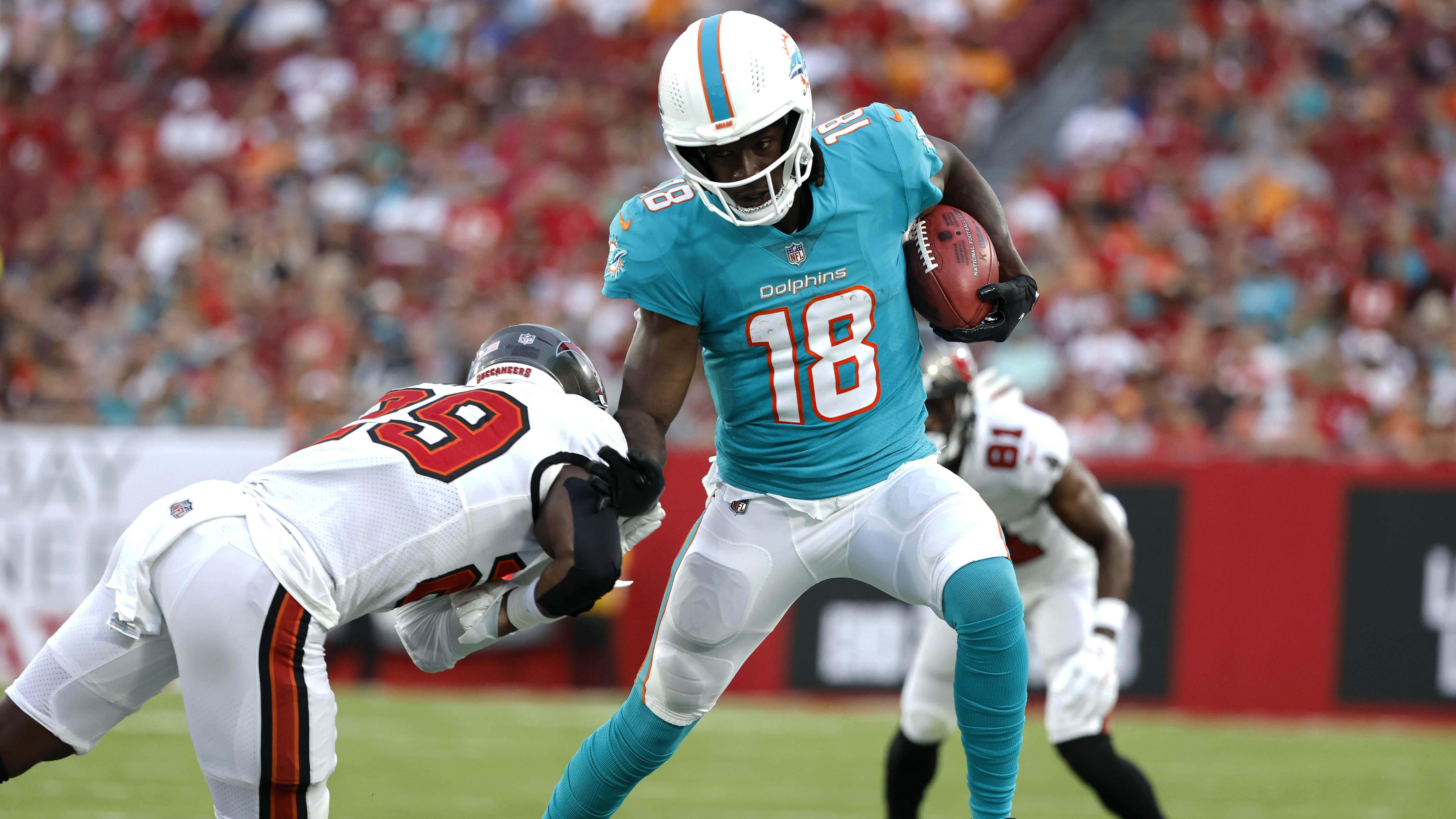 Former Dolphins Wide Receiver Gets Next Shot in CFL