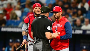 St. Louis Cardinals v Tampa Bay Rays