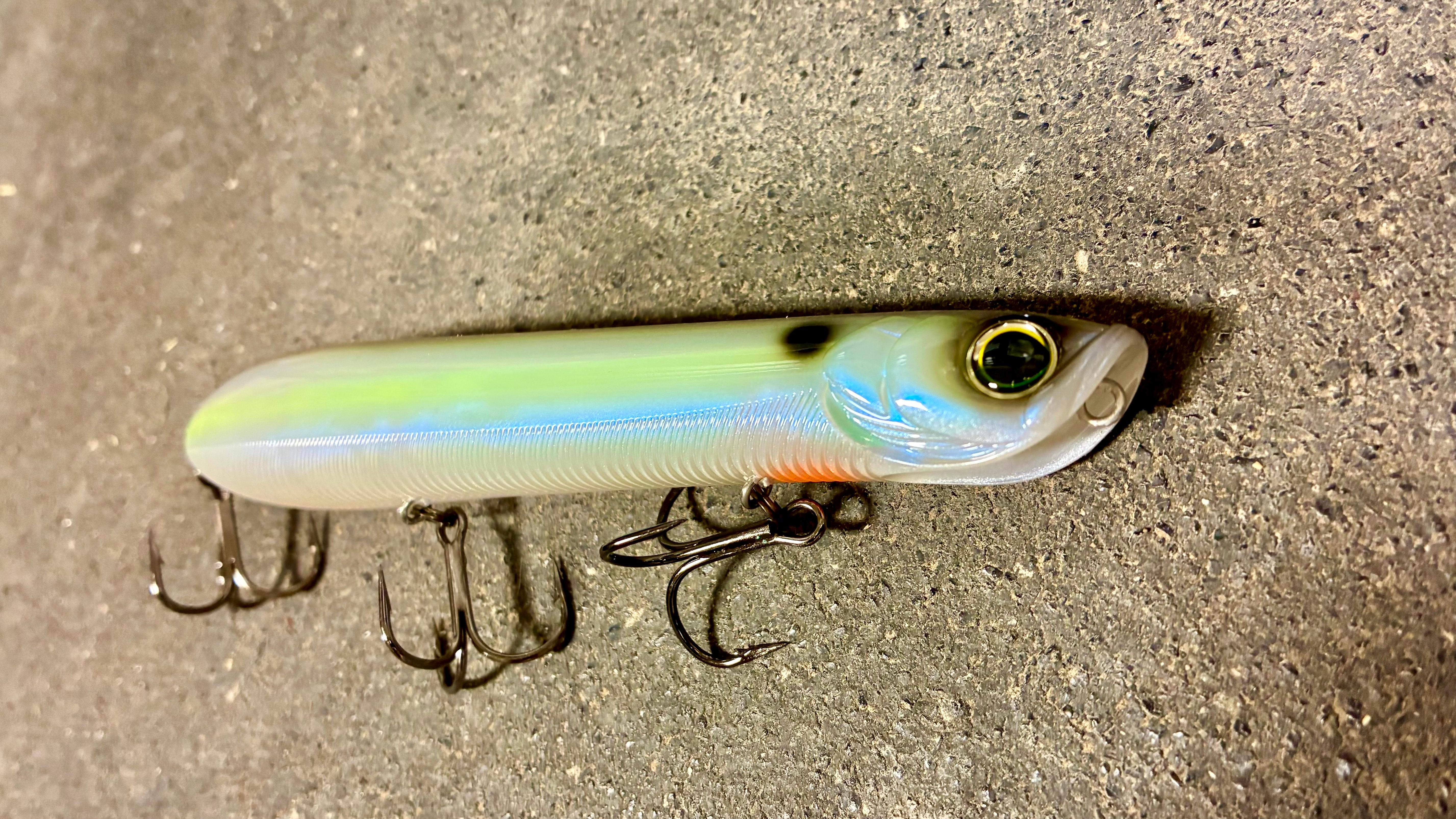 3 Best Fall Bass Fishing Lures for Shallow Water Success 3 Best Fall Bass Fishing Lures for Shallow Water Success