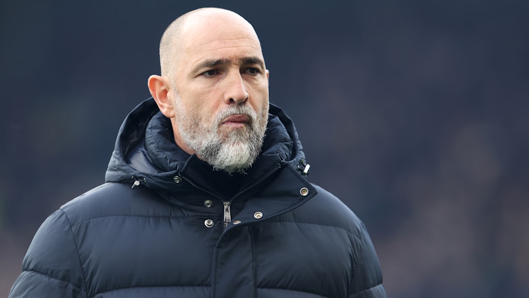 Fulham v Tottenham Hotspur - Premier League