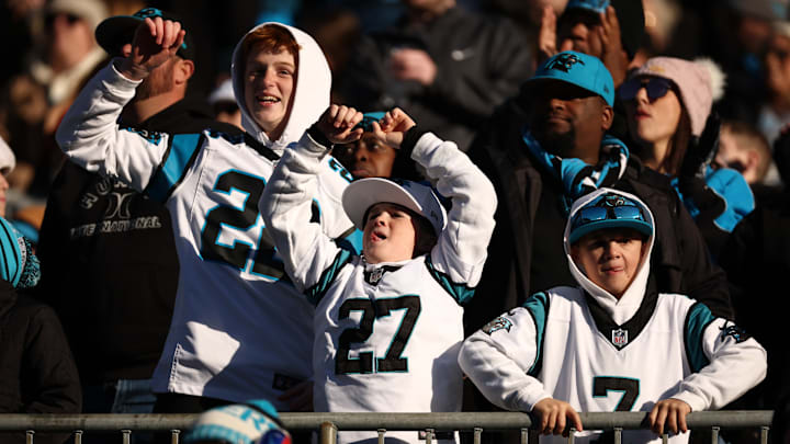 Arizona Cardinals v Carolina Panthers