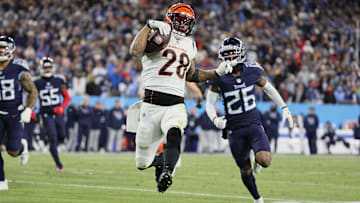 AFC Divisional Playoffs - Cincinnati Bengals v Tennessee Titans