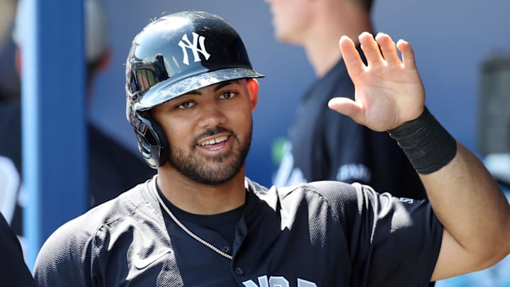 Dominguez has been a top Yankees prospect for several years and is finally healthy after enduring Tommy John surgery. Dominguez has been a top Yankees prospect for several years and is finally healthy after enduring Tommy John surgery.