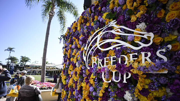 Oct 31, 2024; Del Mar, CA, USA; A Breederís Cup logo is shown on a backdrop of flowers ahead of the 2024 Breeders' Cup Championship at Del Mar Thoroughbred Club. Oct 31, 2024; Del Mar, CA, USA; A Breederís Cup logo is shown on a backdrop of flowers ahead of the 2024 Breeders' Cup Championship at Del Mar Thoroughbred Club.