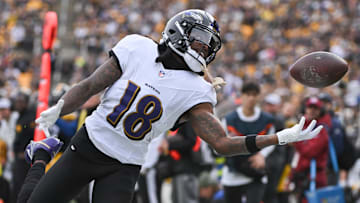 Nov 17, 2024; Pittsburgh, Pennsylvania, USA; Baltimore Ravens wide receiver Diontae Johnson (18) reaches for an incomplete pass against the Pittsburgh Steelers during the first quarter at Acrisure Stadium. Mandatory Credit: Barry Reeger-Imagn Images