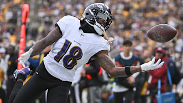 Nov 17, 2024; Pittsburgh, Pennsylvania, USA; Baltimore Ravens wide receiver Diontae Johnson (18) reaches for an incomplete pass against the Pittsburgh Steelers during the first quarter at Acrisure Stadium. Mandatory Credit: Barry Reeger-Imagn Images
