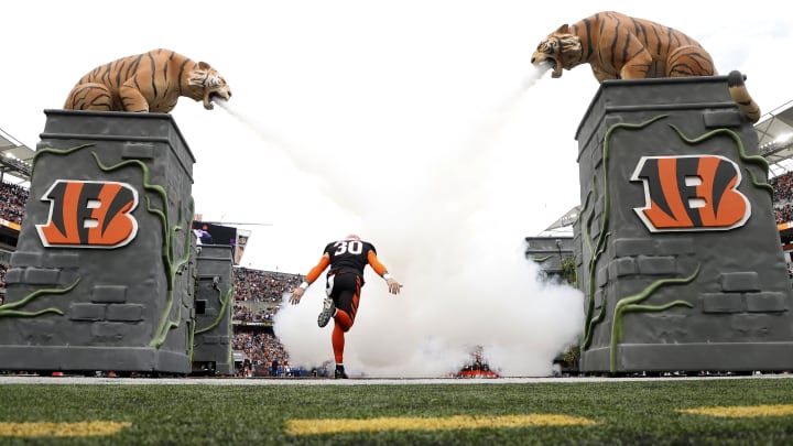 Baltimore Ravens v Cincinnati Bengals