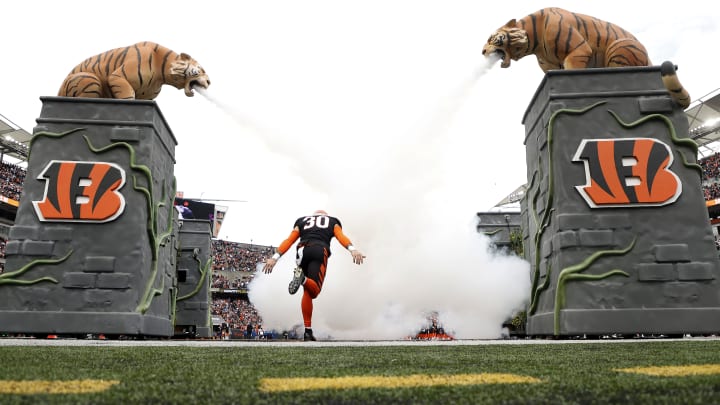 Baltimore Ravens v Cincinnati Bengals