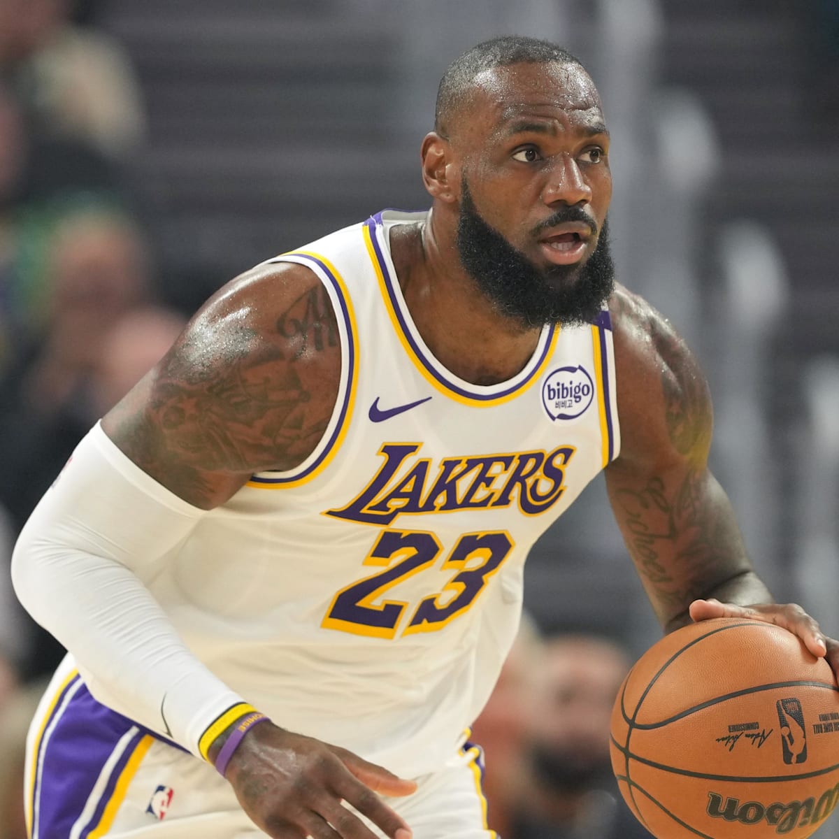 Lebron james injury update lakers online