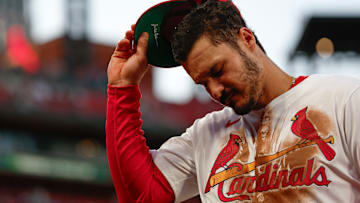 Houston Astros v St. Louis Cardinals