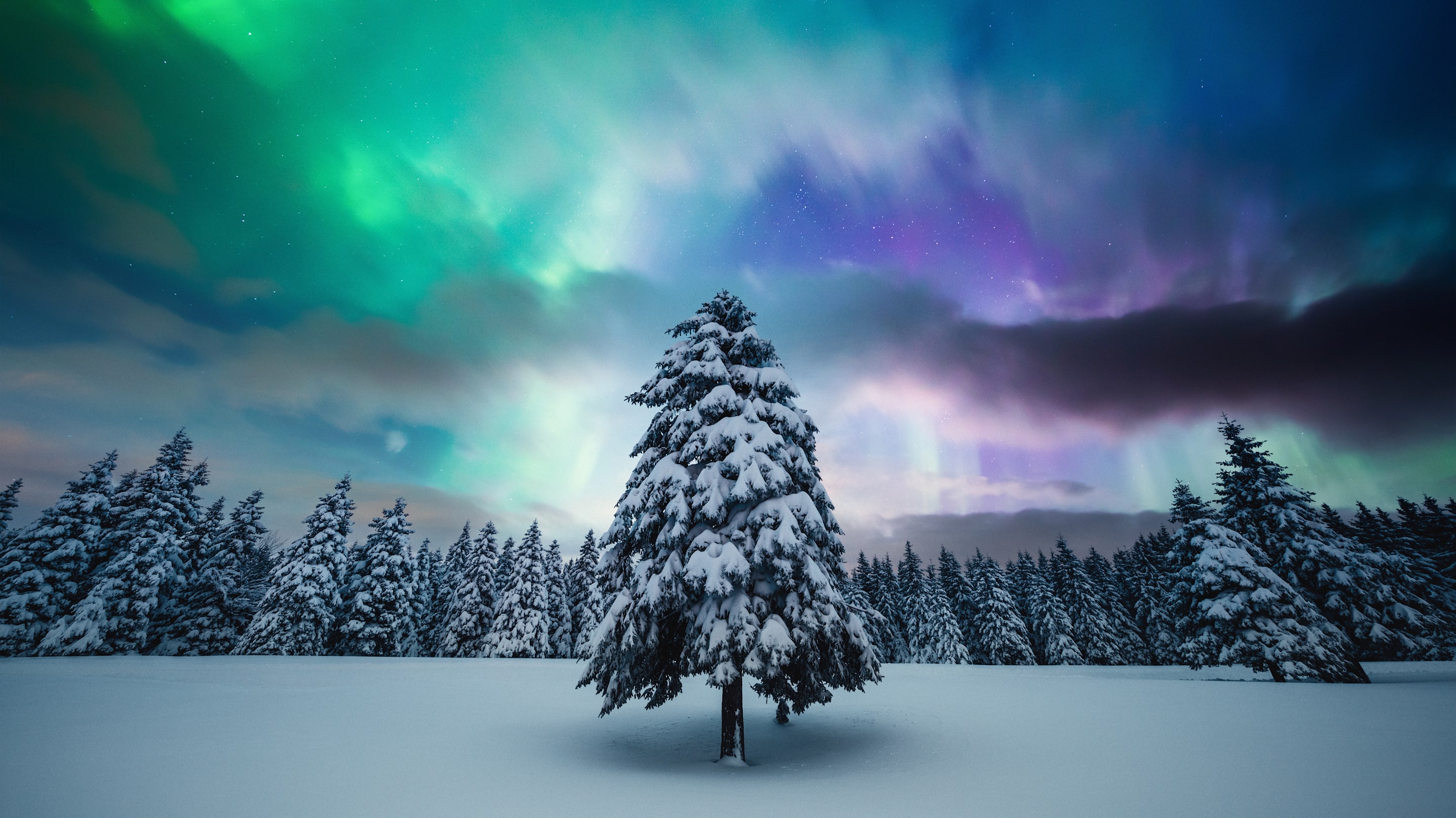 The Many Stories Behind the Origins of Yule