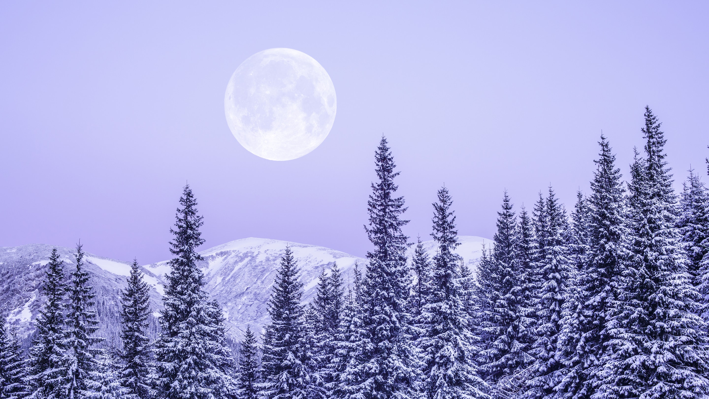 25 Facts About the Winter Solstice, the Shortest Day of the Year