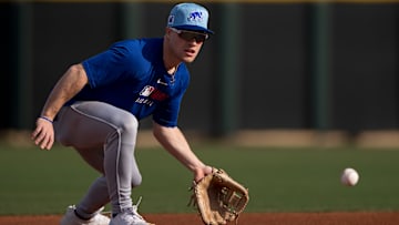 Chicago Cubs Spring Training