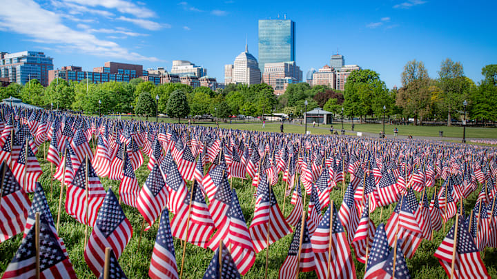Flags displayed a Boston Common for Memorial Day.