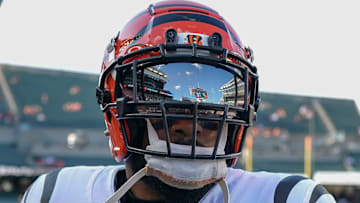 Cincinnati Bengals, Trayveon Williams