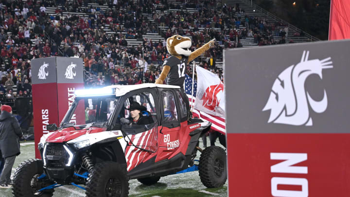 Nov 17, 2023; Pullman, Washington, USA; Washington State Cougars mascot, Butch, at Gesa Field at Martin Stadium. Mandatory Credit: James Snook-USA TODAY Sports