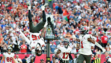 Nov 9, 2025; Tampa, Florida, USA; Tampa Bay Buccaneers wide receiver Tez Johnson (15) flips while celebrating a touchdown during the third quarter against the New England Patriots at Raymond James Stadium. Mandatory Credit: Jonathan Dyer-Imagn Images