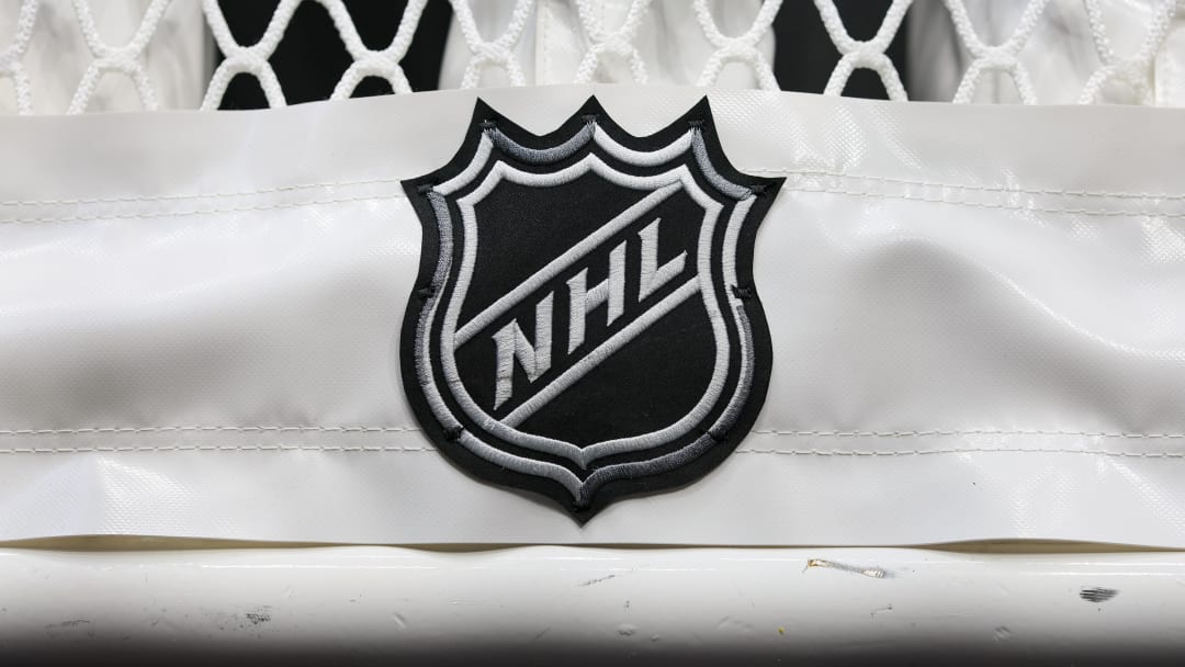 Oct 20, 2022; Columbus, Ohio, USA;  The NHL logo is seen on the netting of a goal prior to the game between the Nashville Predators and the Columbus Blue Jackets at Nationwide Arena. Mandatory Credit: Aaron Doster-USA TODAY Sports