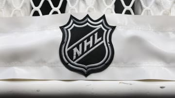 Oct 20, 2022; Columbus, Ohio, USA;  The NHL logo is seen on the netting of a goal prior to the game between the Nashville Predators and the Columbus Blue Jackets at Nationwide Arena. Mandatory Credit: Aaron Doster-USA TODAY Sports