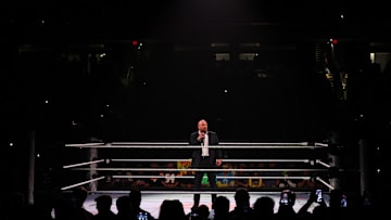 WWE - Wrestlepalooza