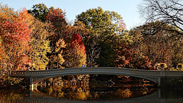 Fall Foliage in Central Park in New York City