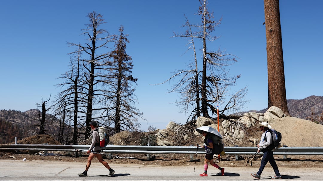 Trails And Forest Scorched By The 2020 Bobcat Fire Reopen To Public In Angeles National Forest