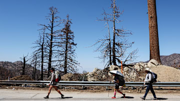 Trails And Forest Scorched By The 2020 Bobcat Fire Reopen To Public In Angeles National Forest