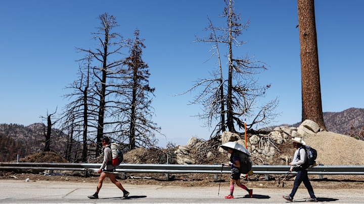 Trails And Forest Scorched By The 2020 Bobcat Fire Reopen To Public In Angeles National Forest