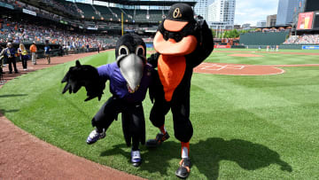 Baltimore Orioles, Baltimore Ravens