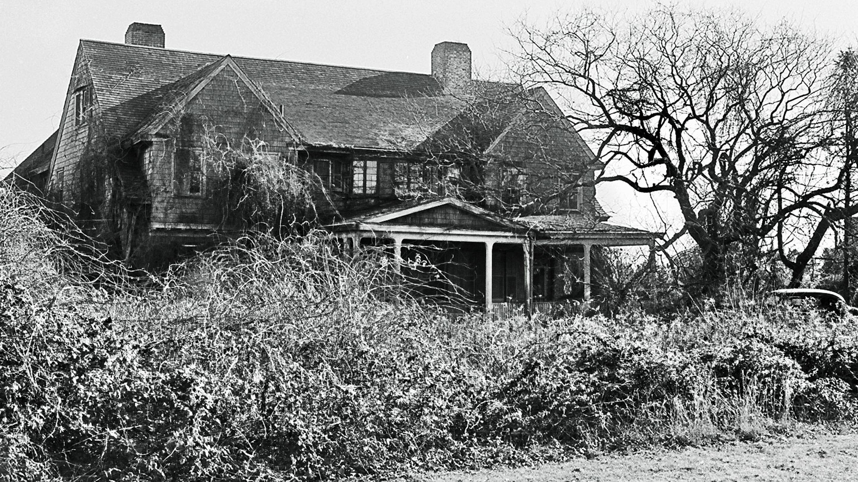 8 Fascinating Facts About Grey Gardens