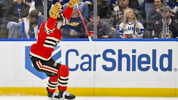 Feb 8, 2025; St. Louis, Missouri, USA;  Chicago Blackhawks right wing Ilya Mikheyev (95) reacts after scoring against the St. Louis Blues during the third period at Enterprise Center. Mandatory Credit: Jeff Curry-Imagn Images
