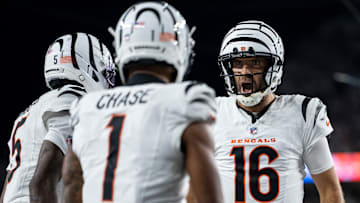 Pittsburgh Steelers v Cincinnati Bengals - NFL 2025