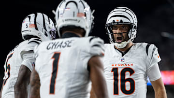Pittsburgh Steelers v Cincinnati Bengals - NFL 2025