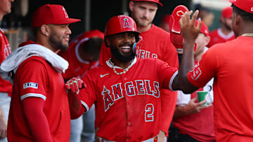 Los Angeles Angels v Detroit Tigers
