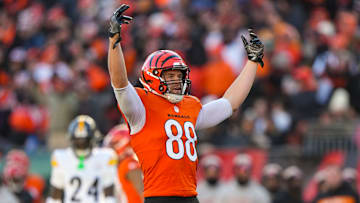 Pittsburgh Steelers v Cincinnati Bengals