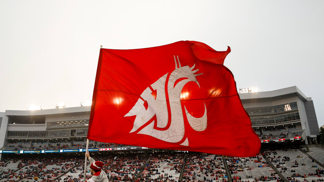 Washington State Flag