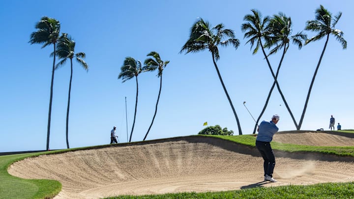 The famous palm tree "W" at Waialae Country Club. The famous palm tree "W" at Waialae Country Club.
