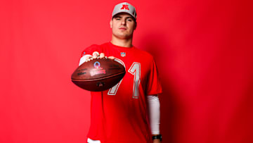 NFL Pro Bowl Player Portraits